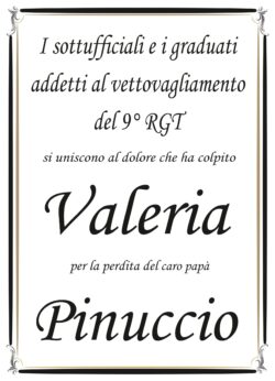 Partecipazione 9° regimento per Ragno_page-0001