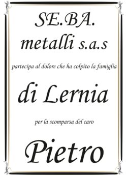 Partecipazione Se.ba. metalli per di Lernia_page-0001