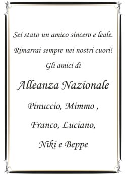 Partecipazione gli amici di alleanza nazionale per Lops_page-0001