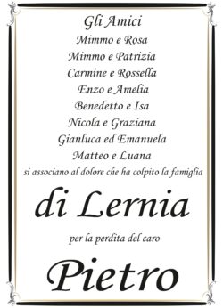Partecipazione gli amici1 per di Lernia_page-0001