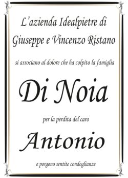 Partecipazione azienda Idealpietres per Di Noia_page-0001
